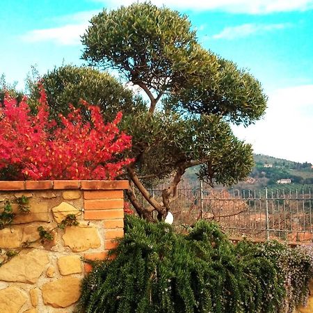Olivo Bonsai 호텔 파시냐노술트라시메노 외부 사진