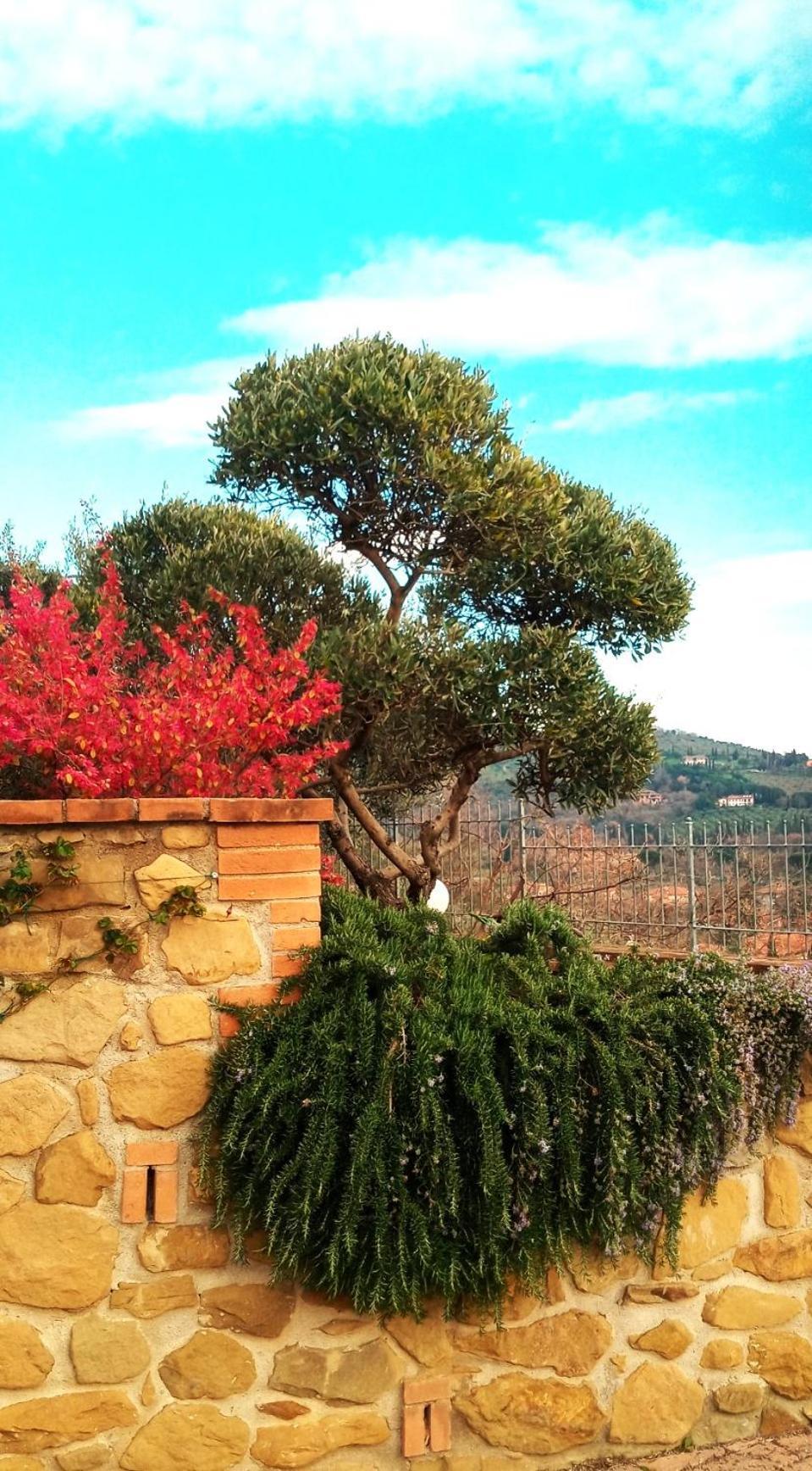 Olivo Bonsai 호텔 파시냐노술트라시메노 외부 사진